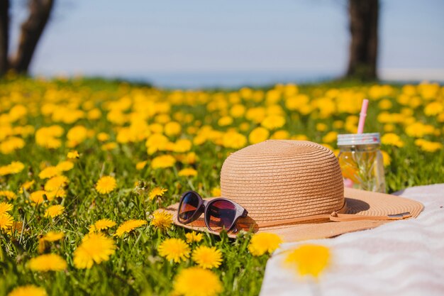 Foto gratuita bonito sombrero de verano con gafas de sol en el césped