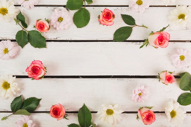 Foto gratuita el borde de las cabezas de rosas y margaritas