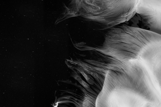 Borde de fondo abstracto, diseño cinematográfico de borde de textura de humo negro