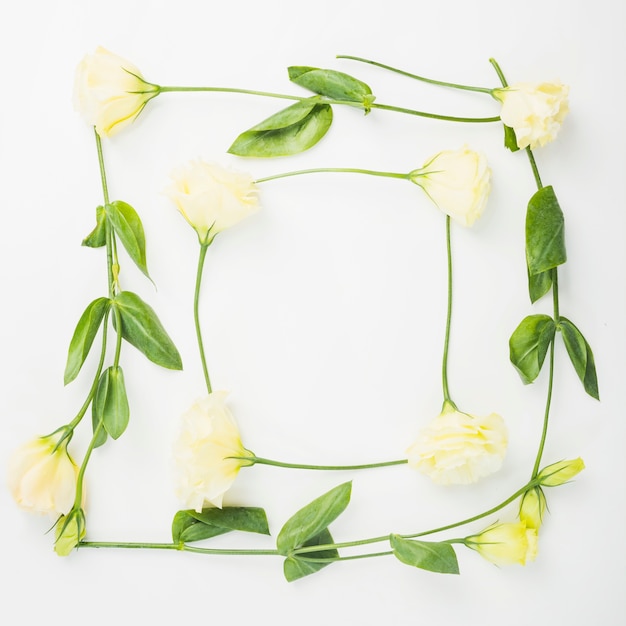 Borde de marco en blanco hecho con flores sobre fondo blanco