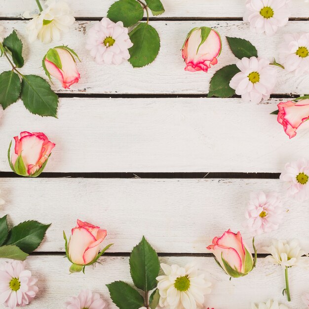 Borde de primer plano de las cabezas de flores