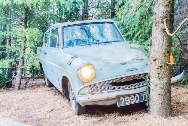 Bosque con un coche abandonado