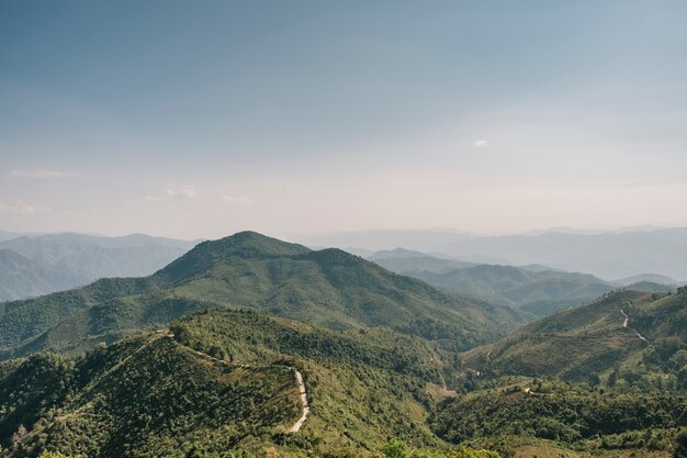 bosque de montaña y cielo azul