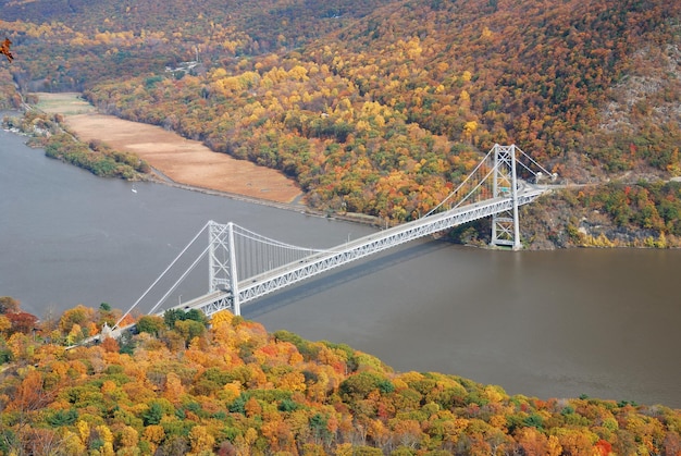 Bosque de montaña de otoño con puente