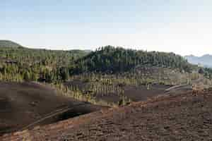 Foto gratuita bosque de montaña en suelo volcánico