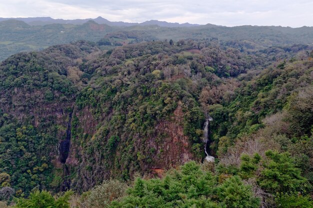 Bosque montañoso con cascada durante el día.