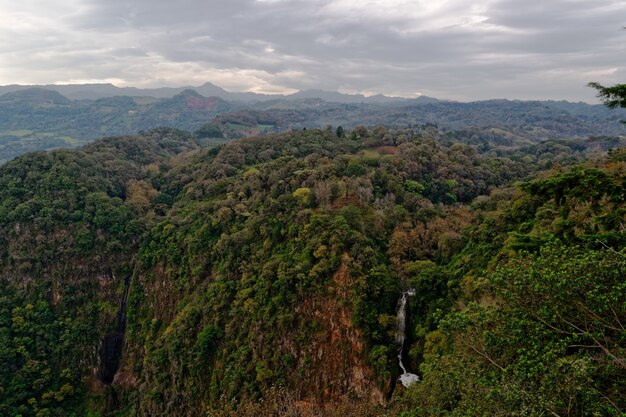 Bosque montañoso con cascada durante el día.