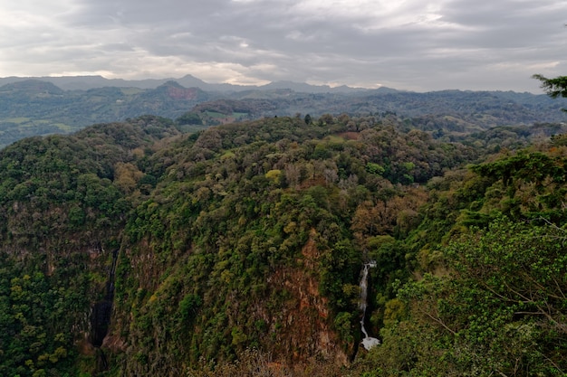 Bosque montañoso con cascada durante el día.