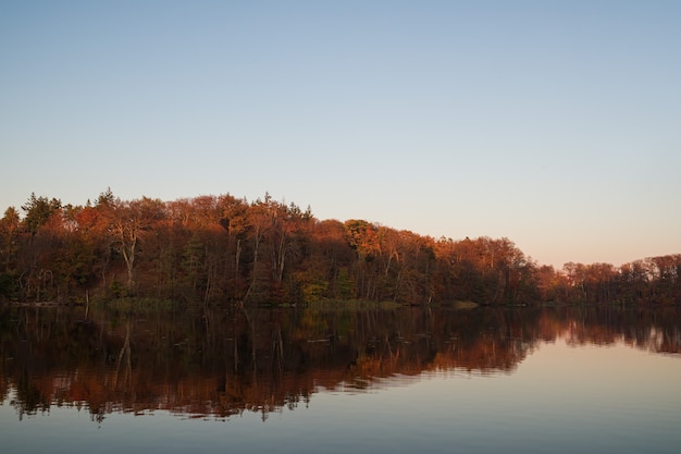 Bosque de otoño reflejado en un lago