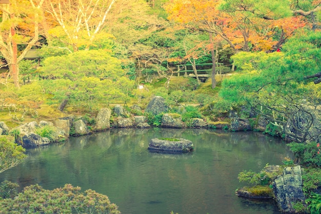 Foto gratuita bosque de otoño río (imagen filtrada con el procesado efe de la vendimia