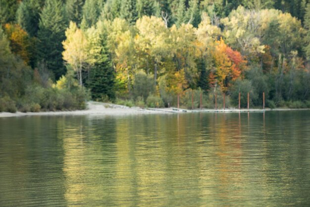 Bosque de otoño y río en la temporada de otoño.