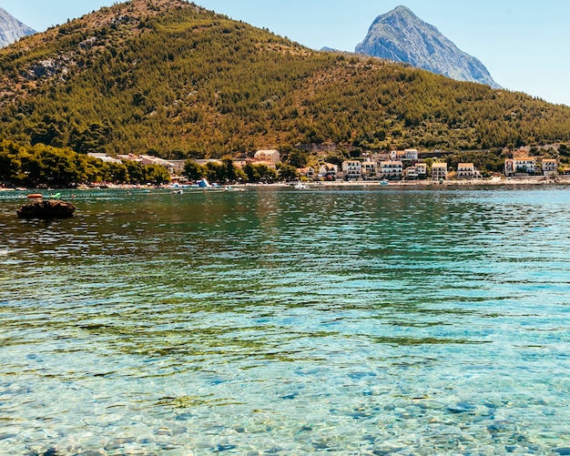 Foto gratuita bosque verde de montaña y casas cerca de la costa.