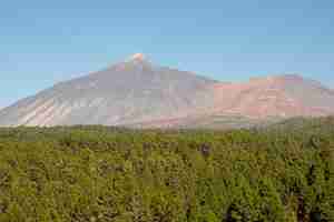 Foto gratuita bosque verde con montaña en cielo azul