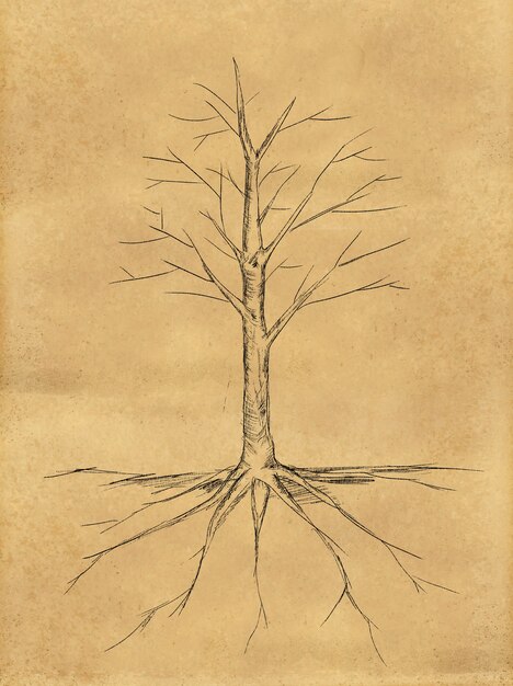 Bosquejo del árbol no deja la raíz en el papel