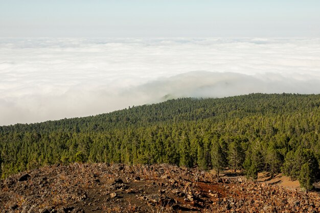 Bosques de montaña con hermosas nubes