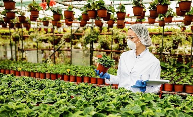 Botánica femenina que realiza una inspección de control de calidad mientras examina flores en macetas en un invernadero