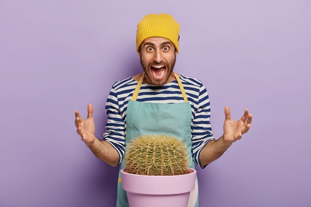 El botánico masculino emocional molesto gesticula activamente, grita en voz alta, usa un sombrero amarillo, un jersey a rayas y un delantal, posa cerca de un suculento cactus verde en una maceta, crece una planta de interior para el jardín de su casa