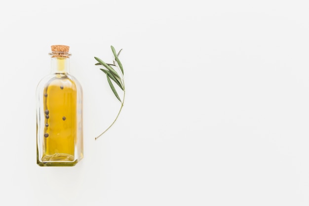 Botella de aceite con rama verde