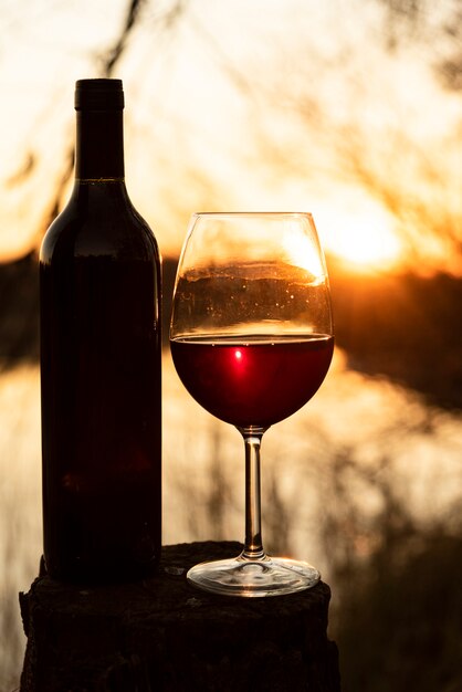 Botella y copa de vino con sol brillando en la espalda