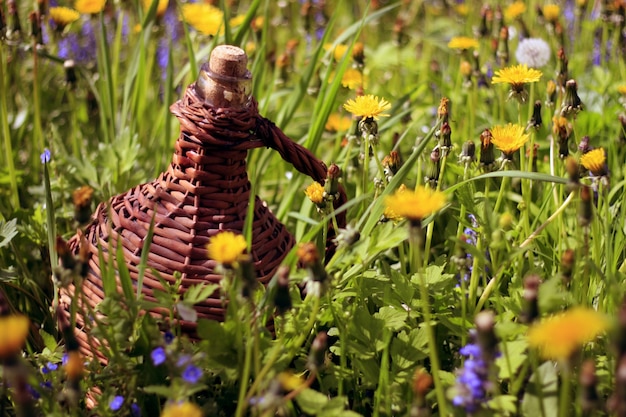 Foto gratuita botella entre flores