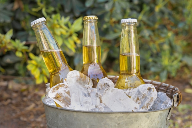 Foto gratuita botellas de bebidas de alto ángulo en cubitos de hielo