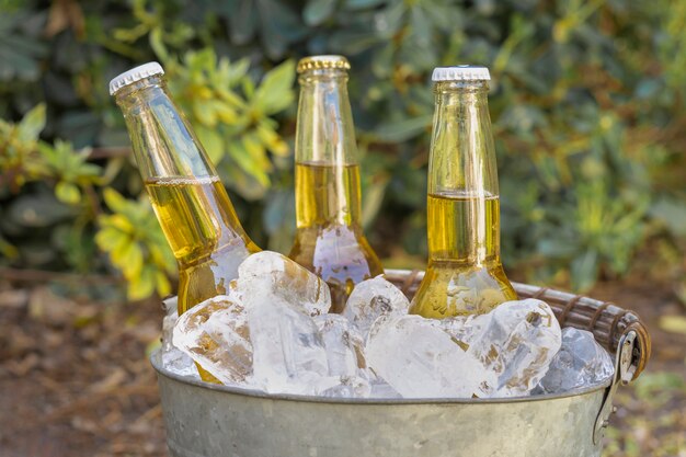 Botellas de bebidas de alto ángulo en cubitos de hielo