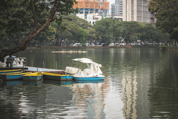 Botes de remo de cisnes en el parque Lumphini, Bangkok