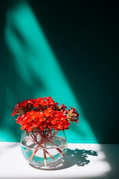 Bouquet de flores de vinosa en florero con agua.