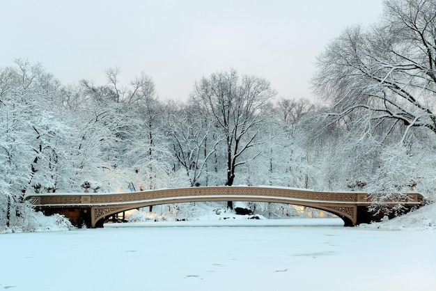 Bow Bridge en el invierno de Central Park en el centro de Manhattan, Nueva York