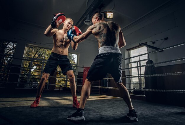 Boxeador con la espalda tatuada atacando a otro boxeador en el ring mientras entrenan.