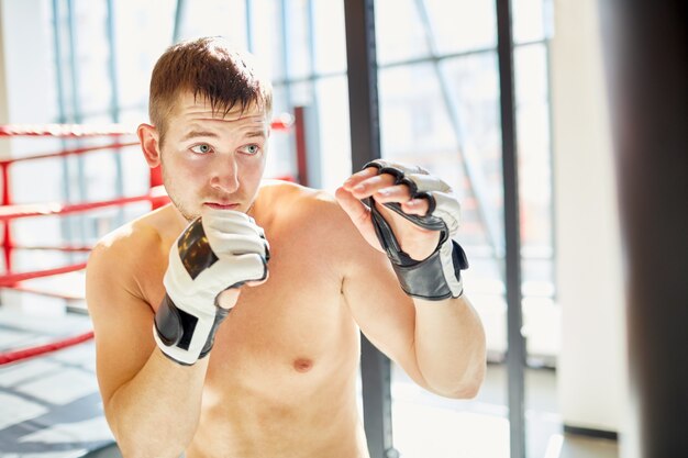 Boxeador practicando en Sunlight Fighting Club