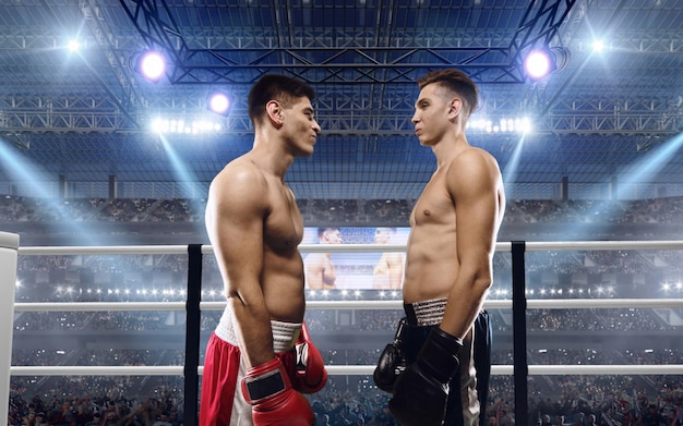 Foto gratuita boxeador profesional en el ring de boxeo