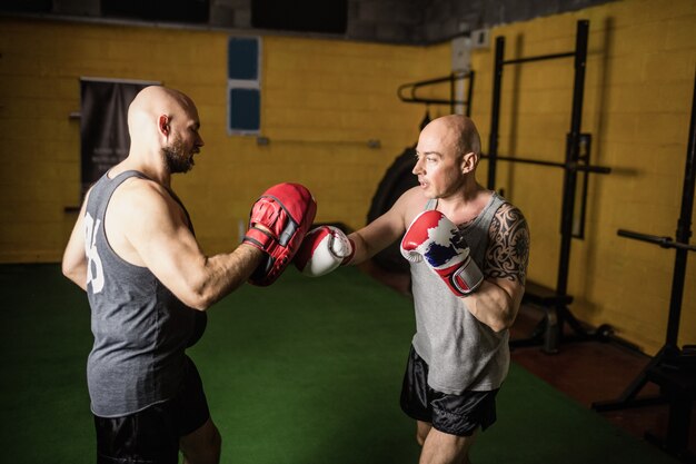 Boxeadores practicando boxeo en el gimnasio