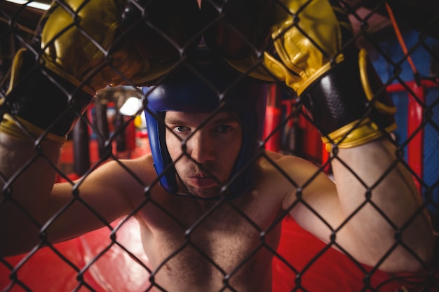 Boxer apoyado en la valla de malla de alambre