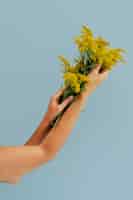 Foto gratuita brazos de mujer sosteniendo plantas amarillas