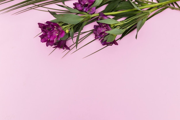 Foto gratuita brillantes flores púrpuras y hojas verdes