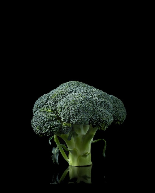 Brócoli aislado en negro