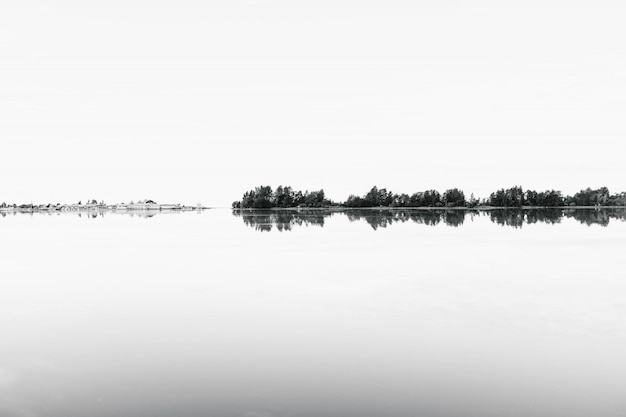 Brote en escala de grises de una variedad de árboles que se reflejan en el agua