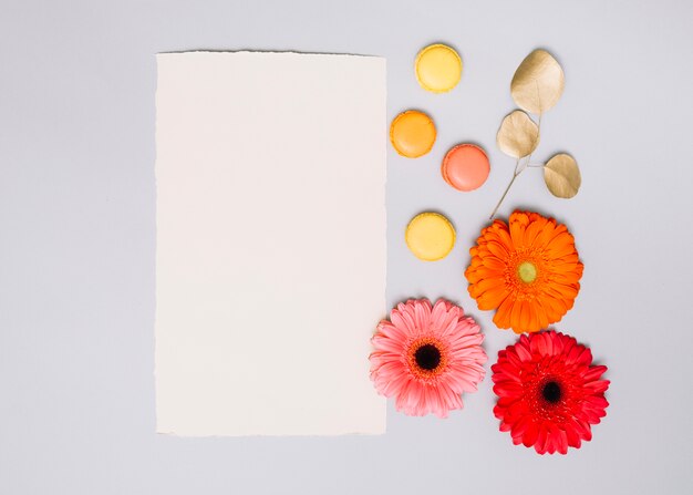 Brotes de flores con las galletas y el papel en la tabla blanca