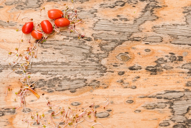 Brotes y tomates sobre fondo de madera con textura