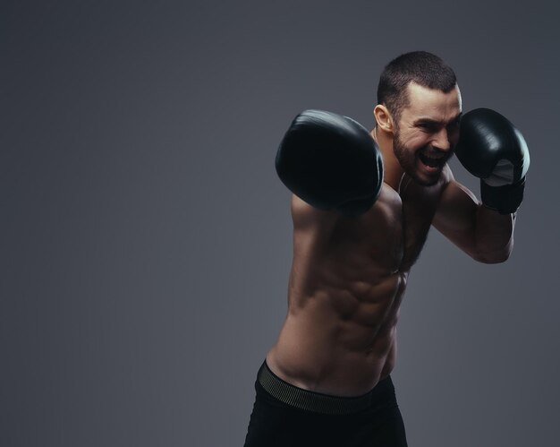 Un brutal deportista caucásico sin camisa en guantes de boxeo entrenando aislado en un fondo gris.