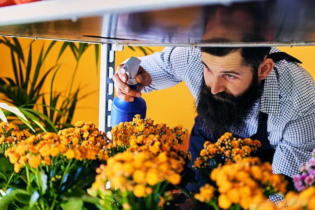 Brutal vendedor de flores barbudo con tatuajes en los brazos en una floristería.