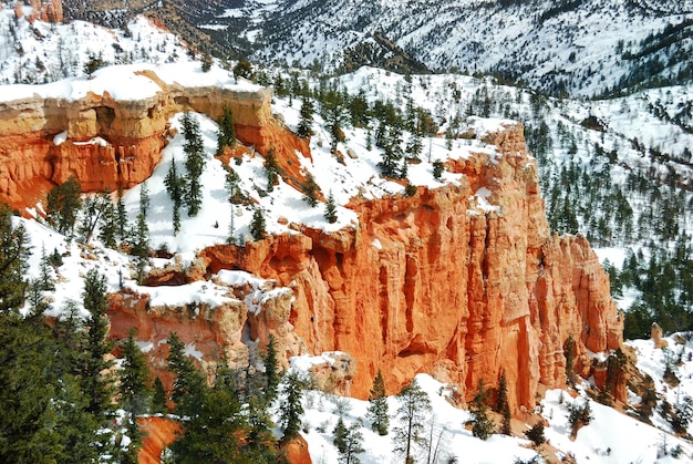 Foto gratuita bryce canyon con nieve en invierno