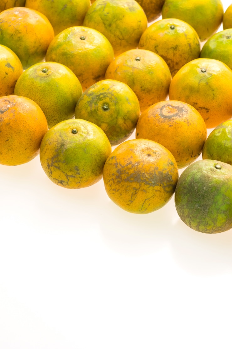 Photo Gratis buah jeruk