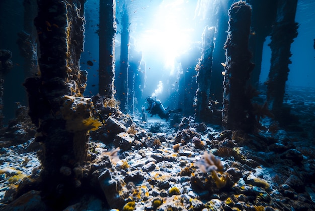 Foto gratuita buceo bajo el mar rodeado de ruinas de edificios arqueológicos