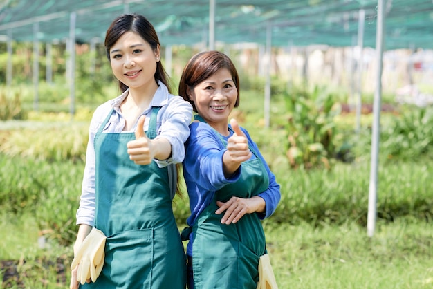 Buen trabajo en horticultura