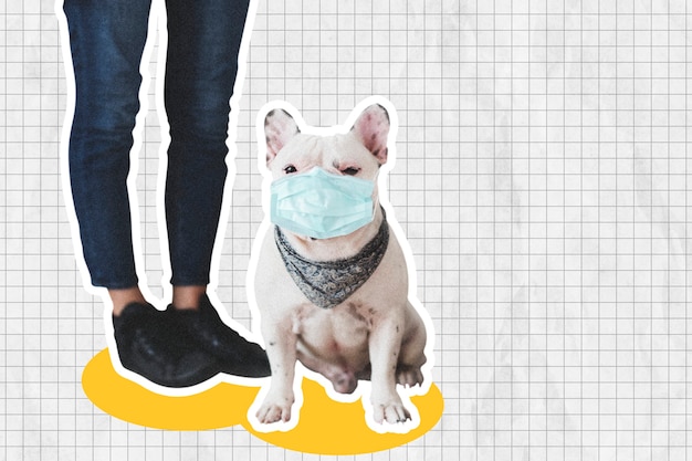 Foto gratuita bulldog francés en máscara facial distanciamiento social con espacio de diseño de collage de técnica mixta