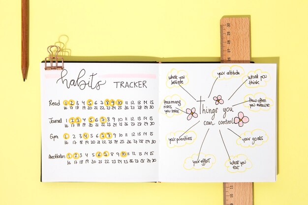 Bullet journal y suministros vista anterior