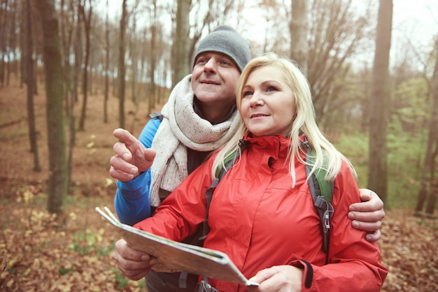 Buscando el sendero en el bosque