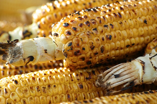 Foto gratuita ca de maíz a la barbacoa